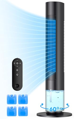 TS03Y 1.210.003.011 Evaporative Air Cooler, 1 Count (Pack of 1), Black